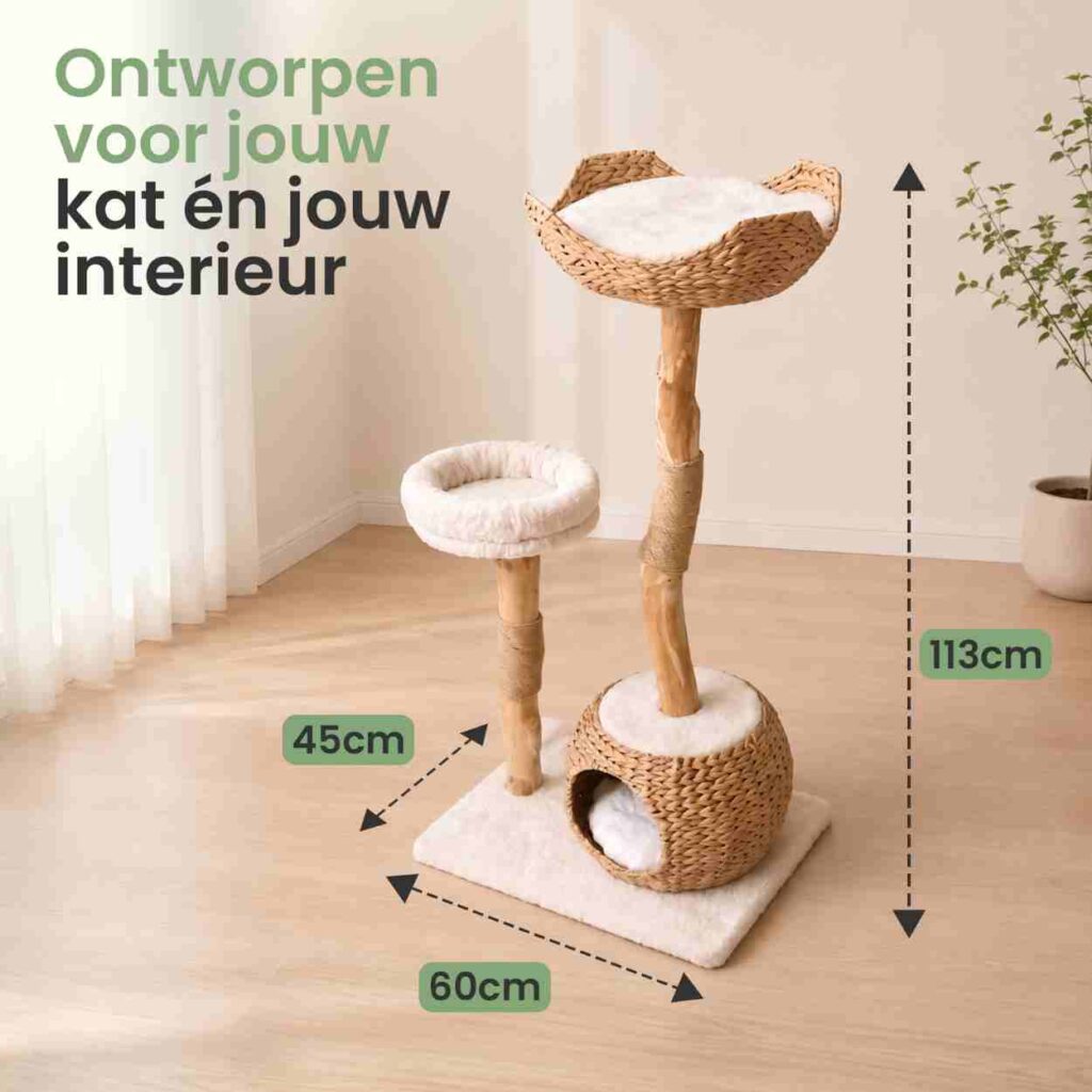 Kattenboom