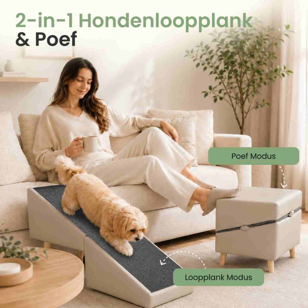 Hondenloopplank