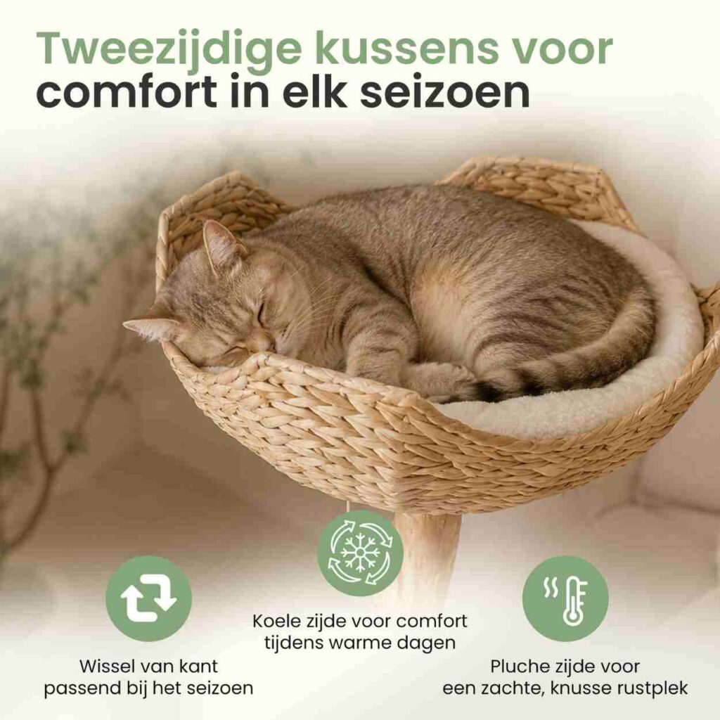 Kattenboom