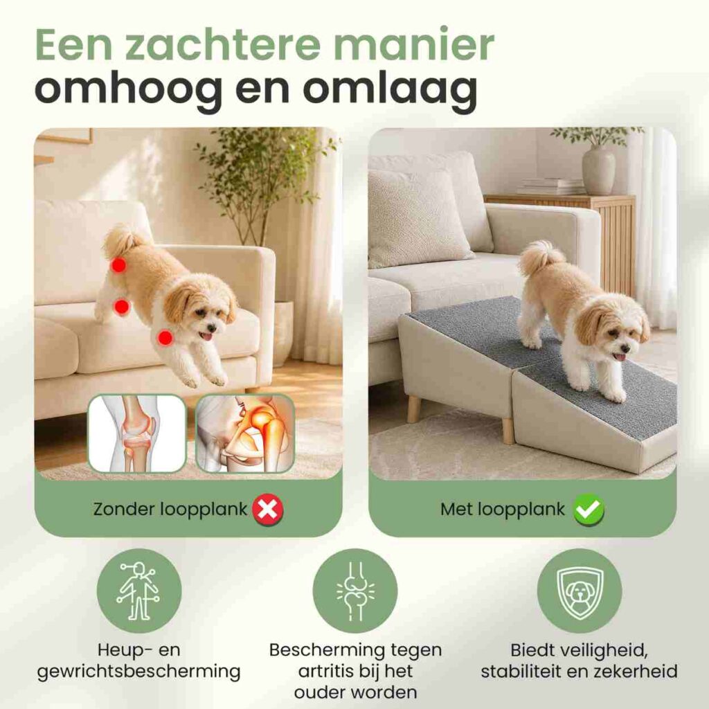 Hondenloopplank