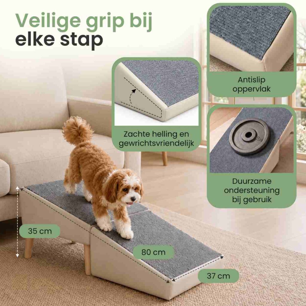 Hondenloopplank