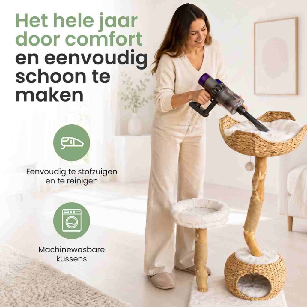 Kattenboom
