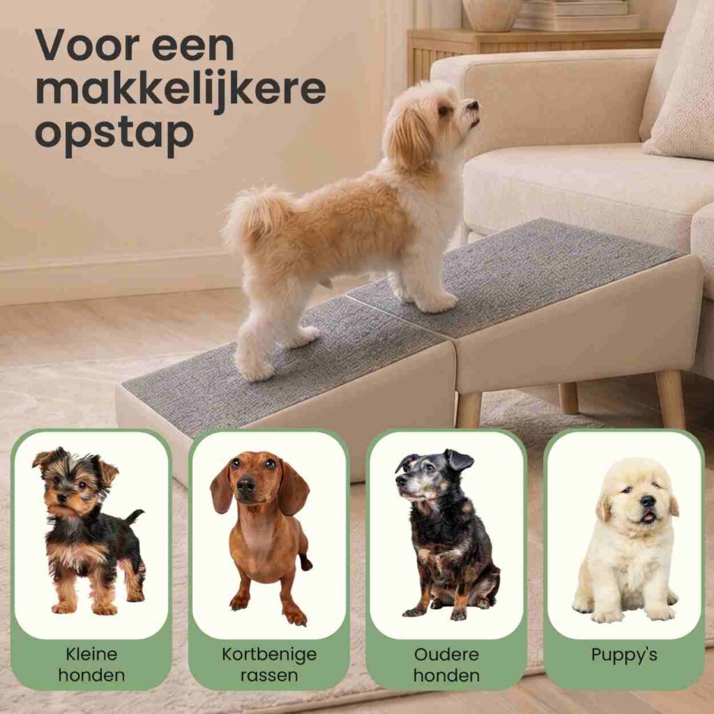 Hondenloopplank