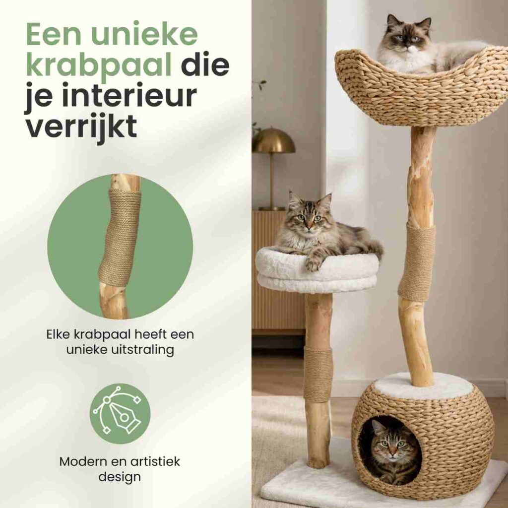 Kattenboom
