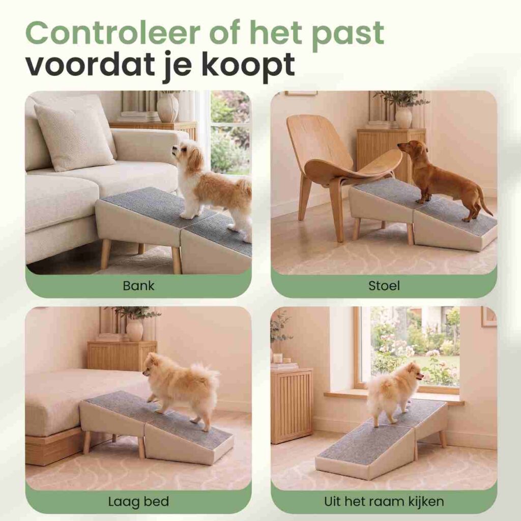 Hondenloopplank