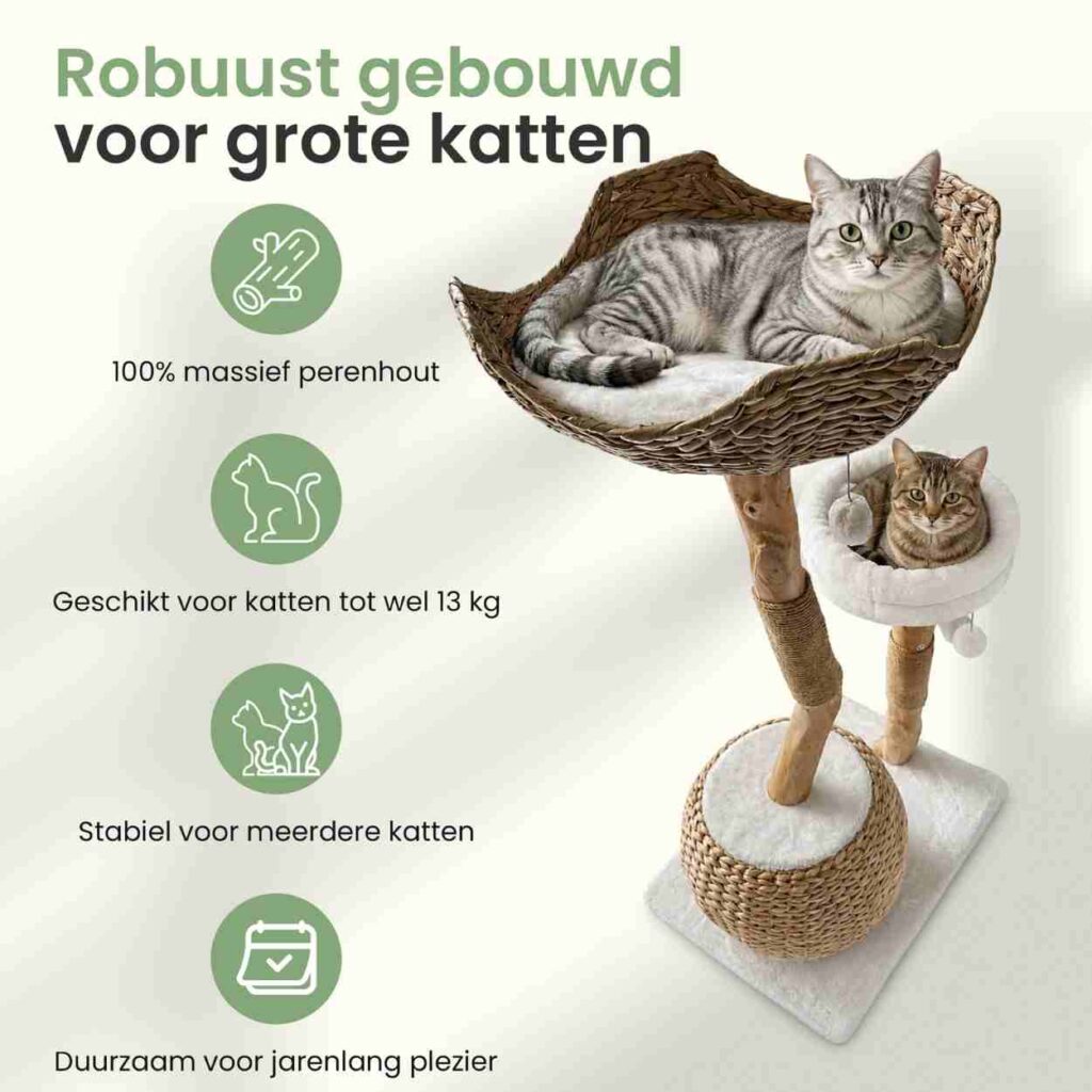 Kattenboom